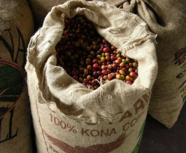 Market Sourcing for Exporters